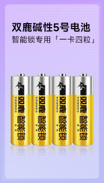 指纹锁电池 双鹿无汞碱性5号智能锁专用2代干电池「一卡四粒」